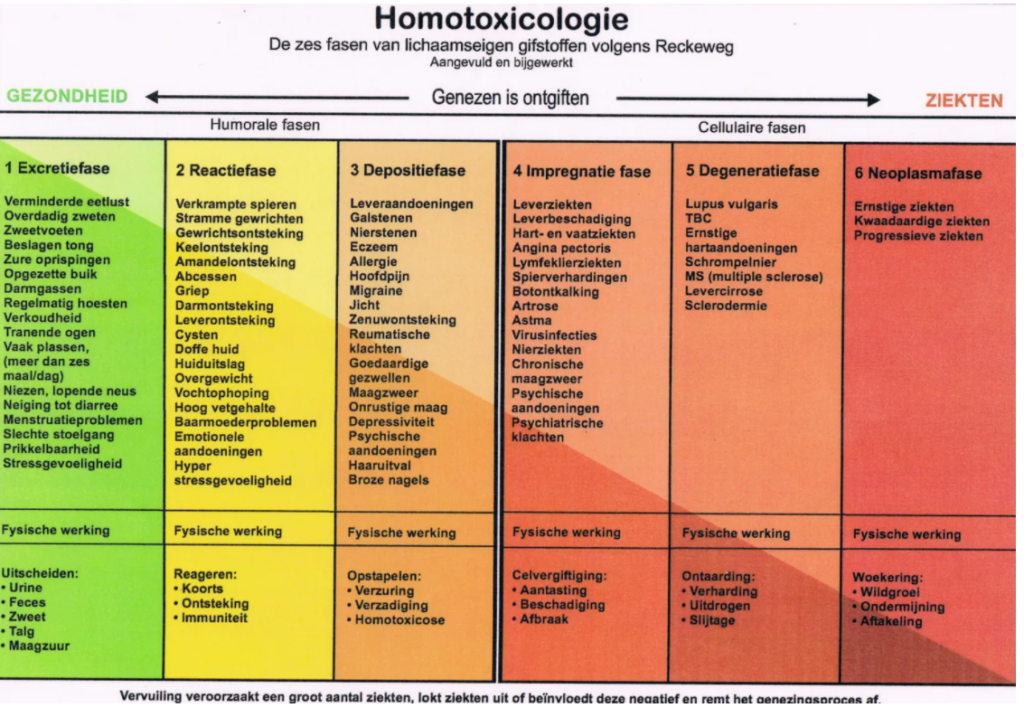 Ziektebeelden volgens fase