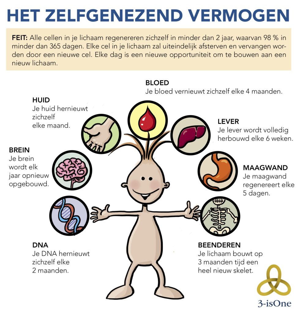 Elti Zelfgenezend vermogen