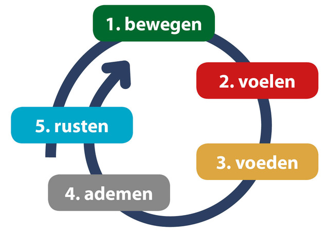 Cyclus met 5 pijlers