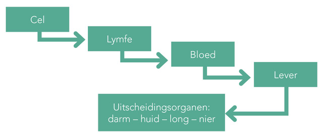 Reinigen schema